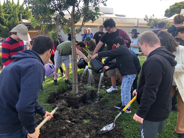 San Clemente High plants a tree for Arbor Day