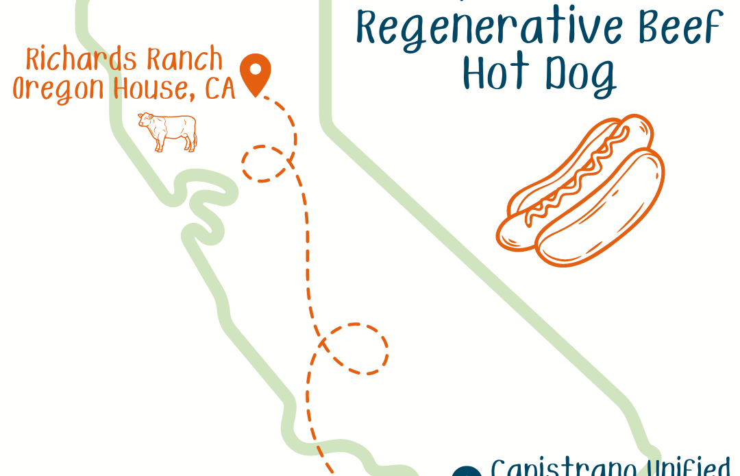 Grass fed regenerative beef hot dog coming to elementary school lunch menus