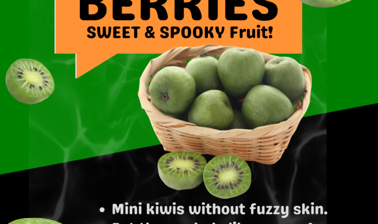 https://cusdinsider.org/wp-content/uploads/2023/10/Kiwi-Berries-768x456.png