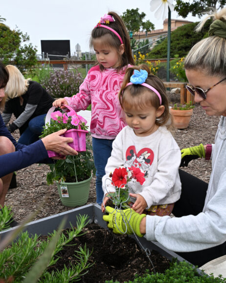 School gardens extend classroom into the outdoors
