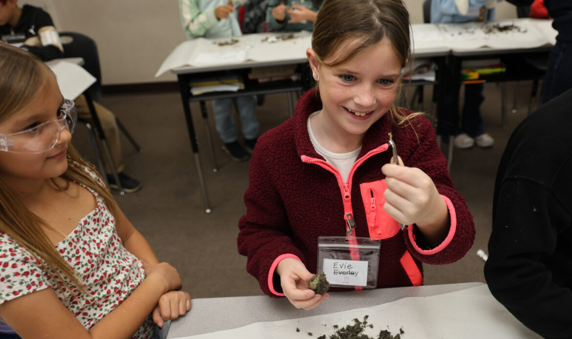 Hands on learning for Castille Science Day