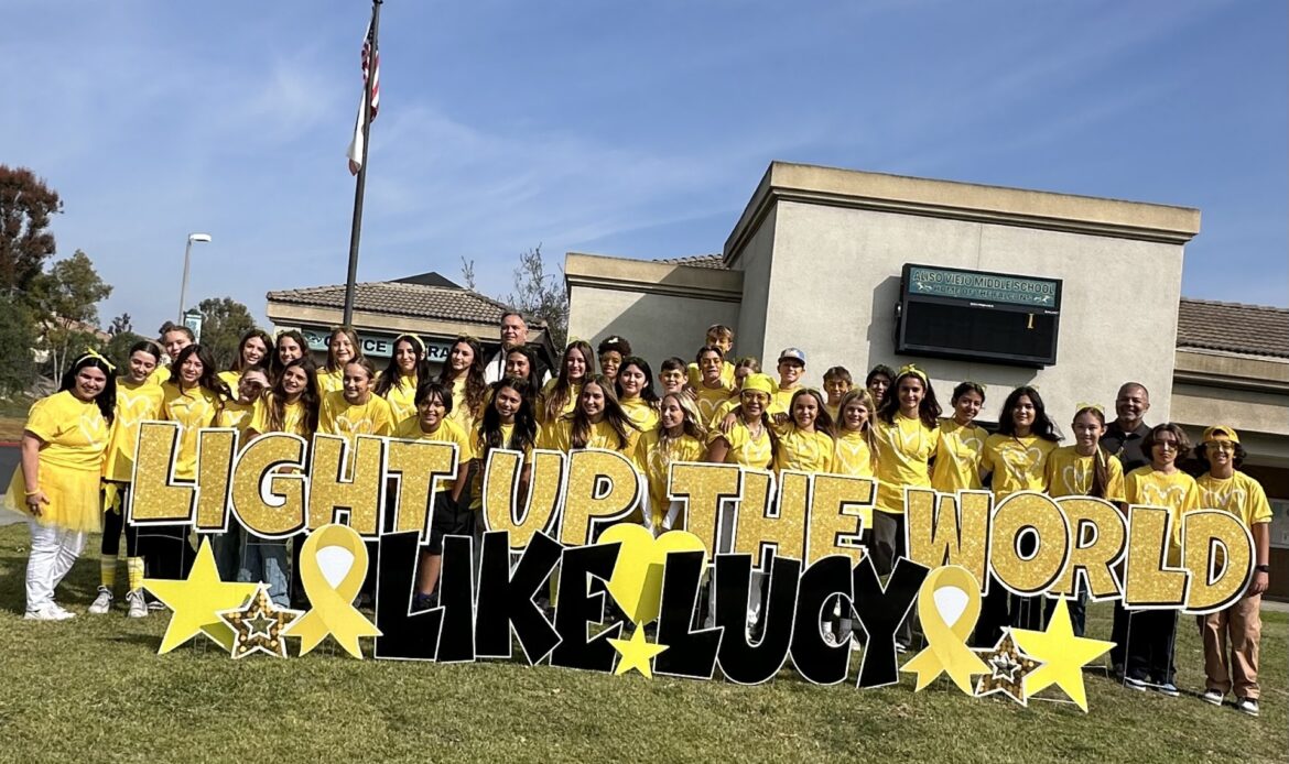 Lucy lights up AVMS